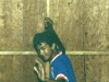 The 1980s